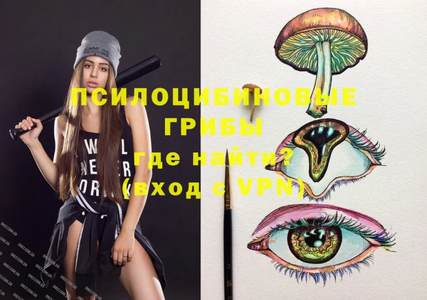 герыч Болотное