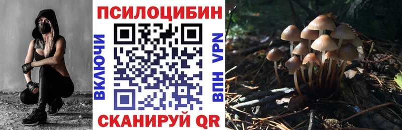 Псилоцибиновые грибы ЛСД  omg вход  Жигулёвск 